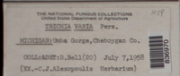 Image Associated With the Occurence